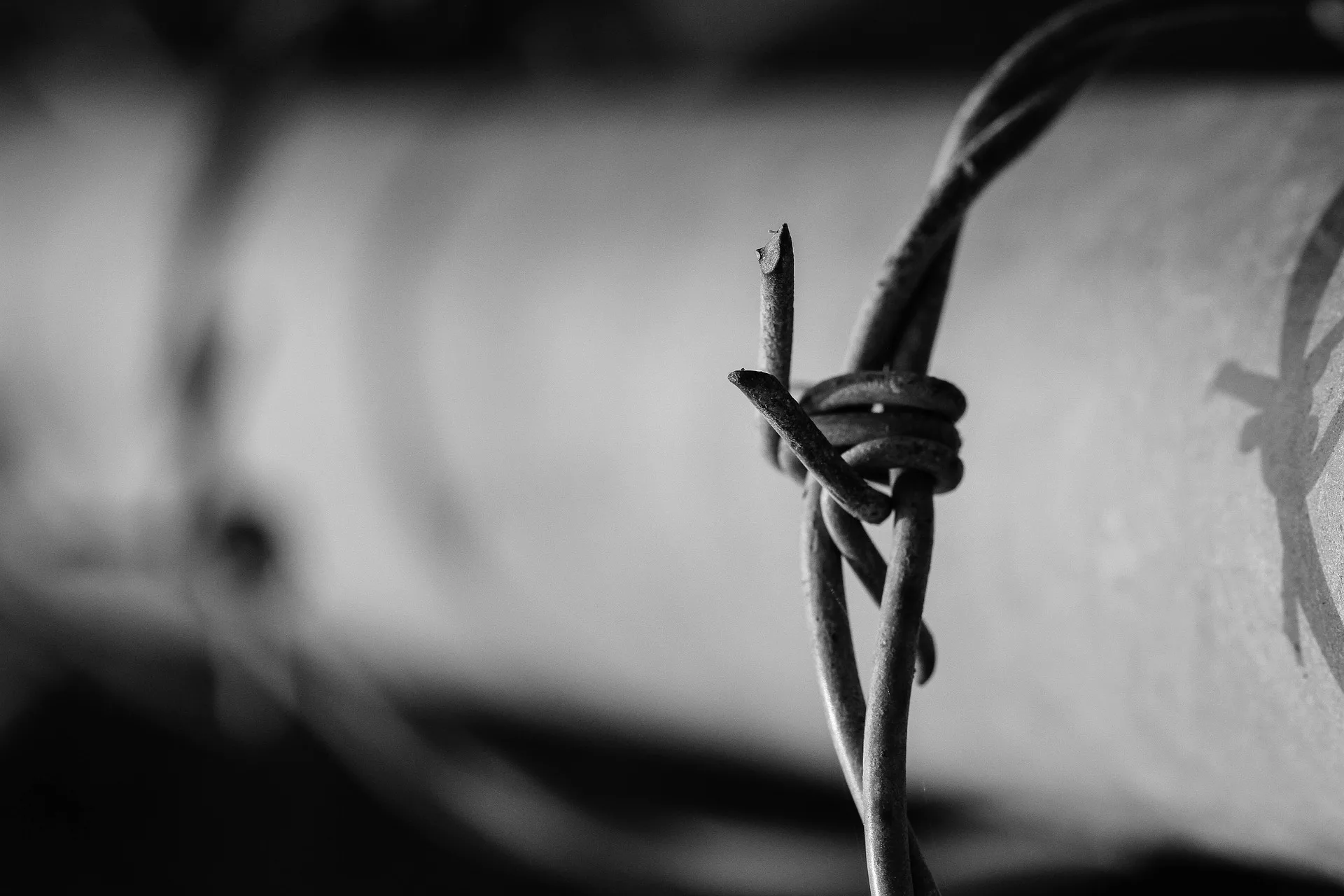 La paix n’a qu’un passé, la guerre n’a pas d’avenir